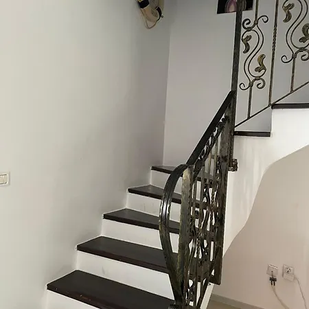 Elena 泰基尔吉奥尔